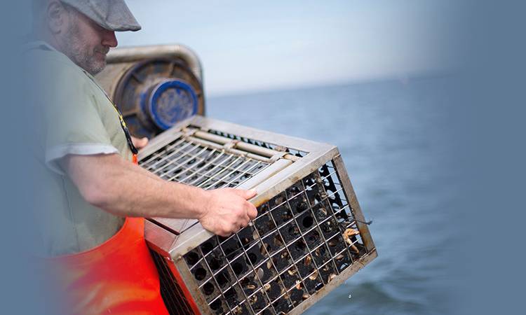 man in orange overalls carrying box of seafood on a boat