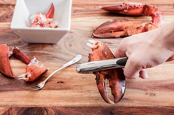 person breaking lobster claw